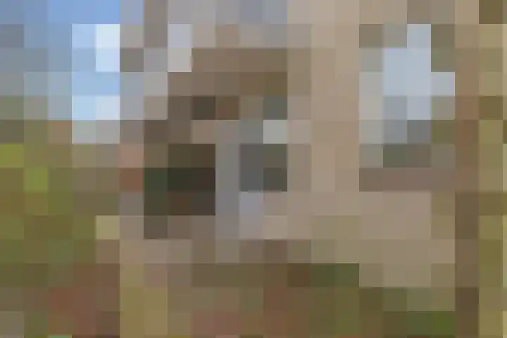 Jungfrau 16 Utrecht thumbnail 33