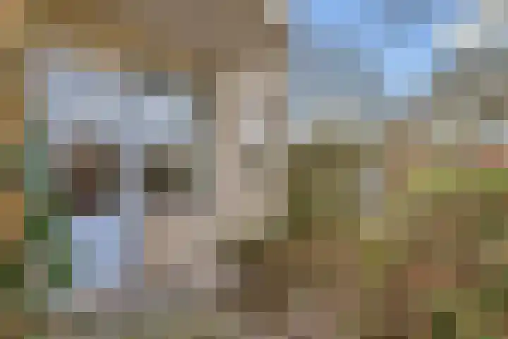 Jungfrau 16 Utrecht thumbnail 34