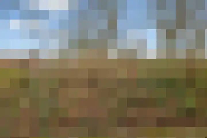 Jungfrau 16 Utrecht thumbnail 35