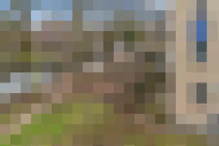 Jungfrau 16 Utrecht thumbnail 36