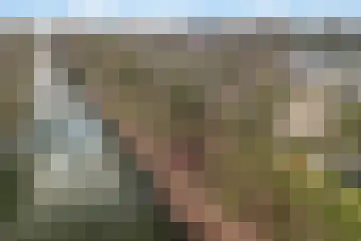 Jungfrau 16 Utrecht thumbnail 4