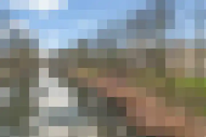 Jungfrau 16 Utrecht thumbnail 42