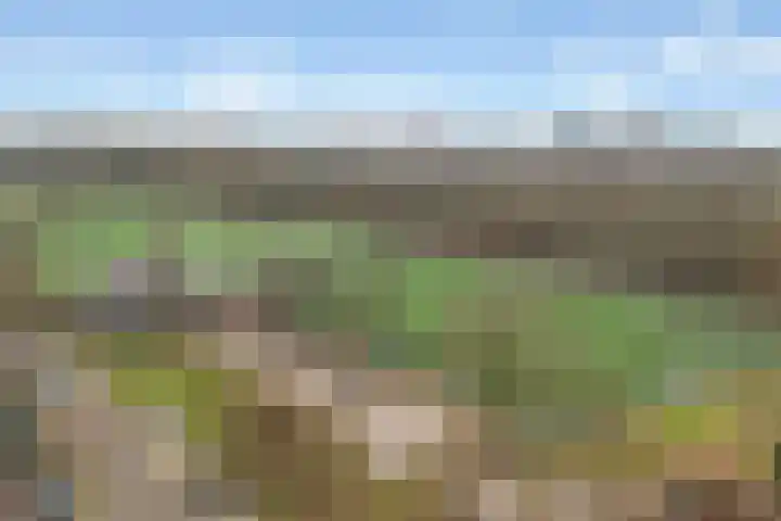 Jungfrau 16 Utrecht thumbnail 43