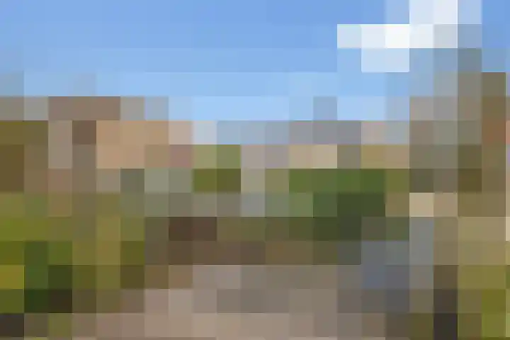 Jungfrau 16 Utrecht thumbnail 5
