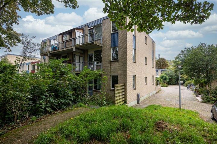 Jungfrau 20 dans Utrecht photo