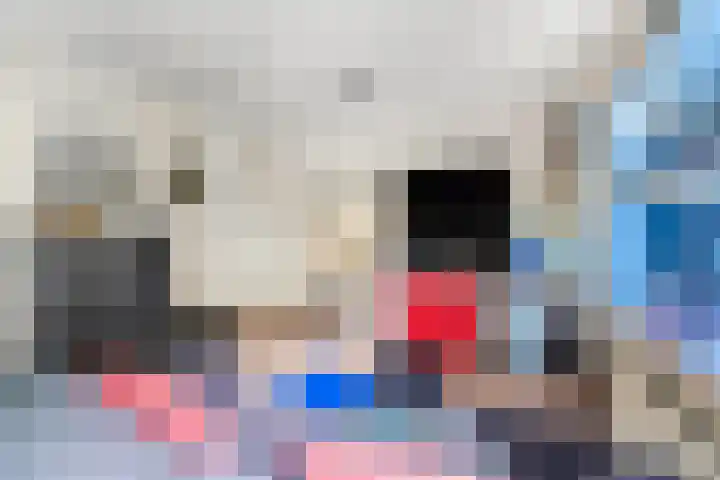 Jungfrau 34 Utrecht thumbnail 14
