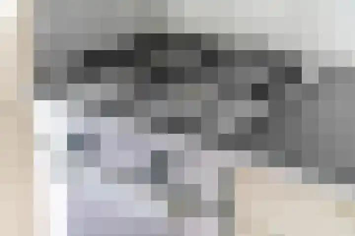 Jungfrau 34 Utrecht thumbnail 17
