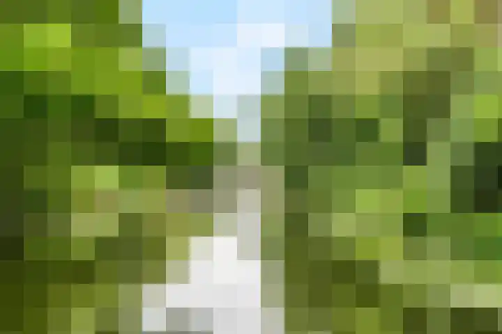 Jungfrau 34 Utrecht thumbnail 29