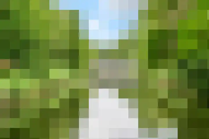 Jungfrau 34 Utrecht thumbnail 30