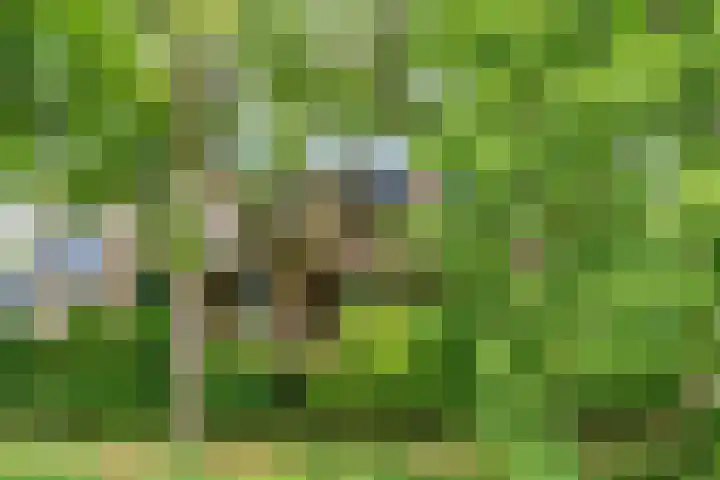 Jungfrau 34 Utrecht thumbnail 31