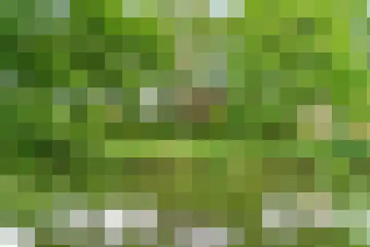Jungfrau 34 Utrecht thumbnail 32