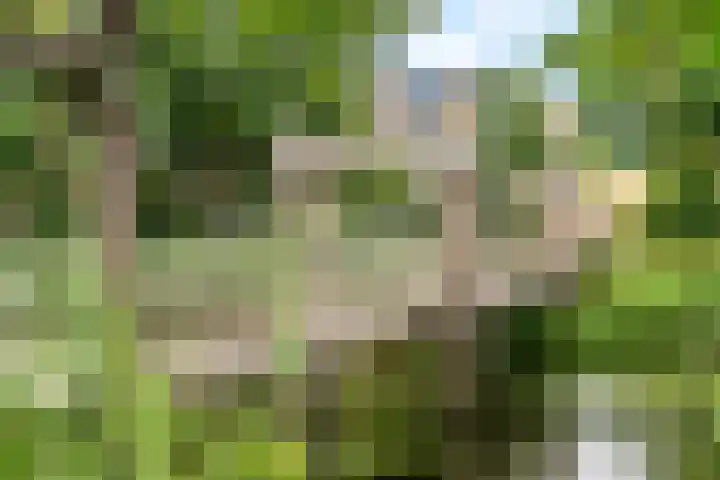 Jungfrau 34 Utrecht thumbnail 33