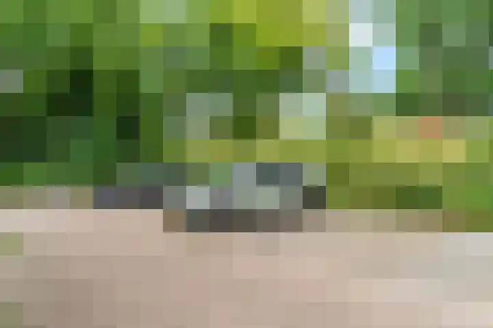 Jungfrau 34 Utrecht thumbnail 34