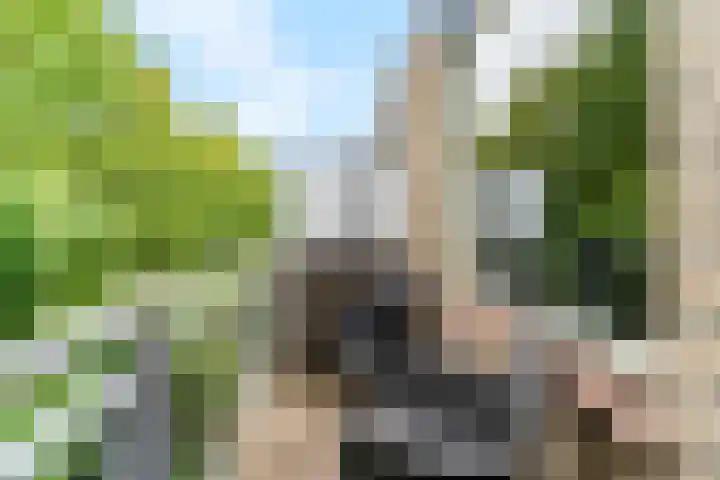 Jungfrau 34 Utrecht thumbnail 4