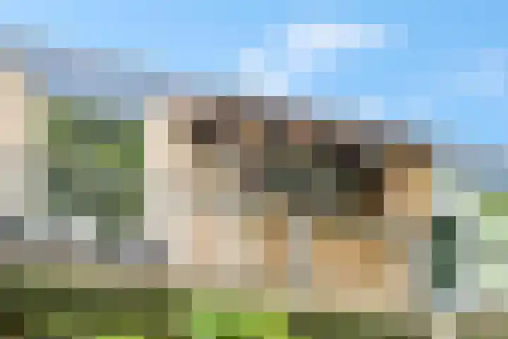 Jungfrau 34 Utrecht thumbnail 6