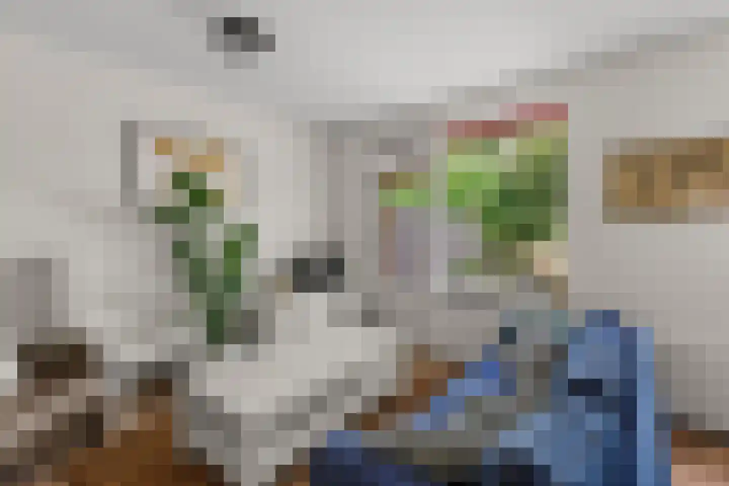 Jungfrau 40 Utrecht thumbnail 11