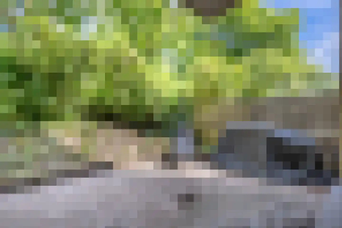 Jungfrau 40 Utrecht thumbnail 13