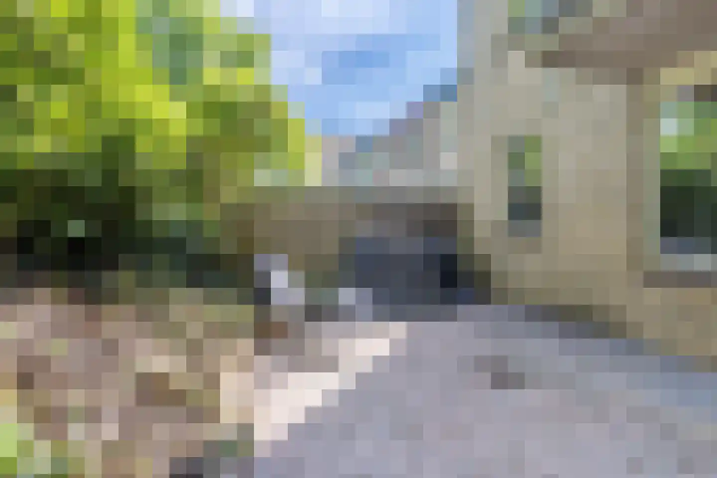 Jungfrau 40 Utrecht thumbnail 14