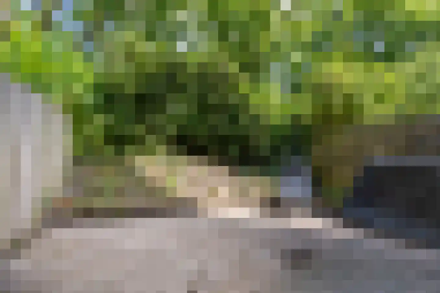 Jungfrau 40 Utrecht thumbnail 15
