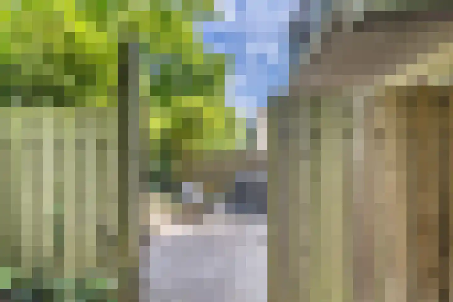 Jungfrau 40 Utrecht thumbnail 17