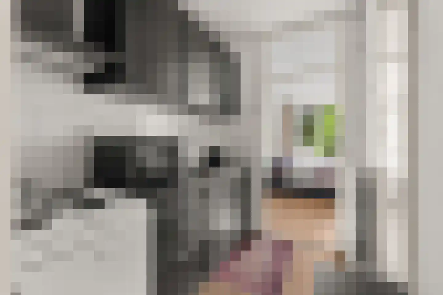Jungfrau 40 Utrecht thumbnail 19