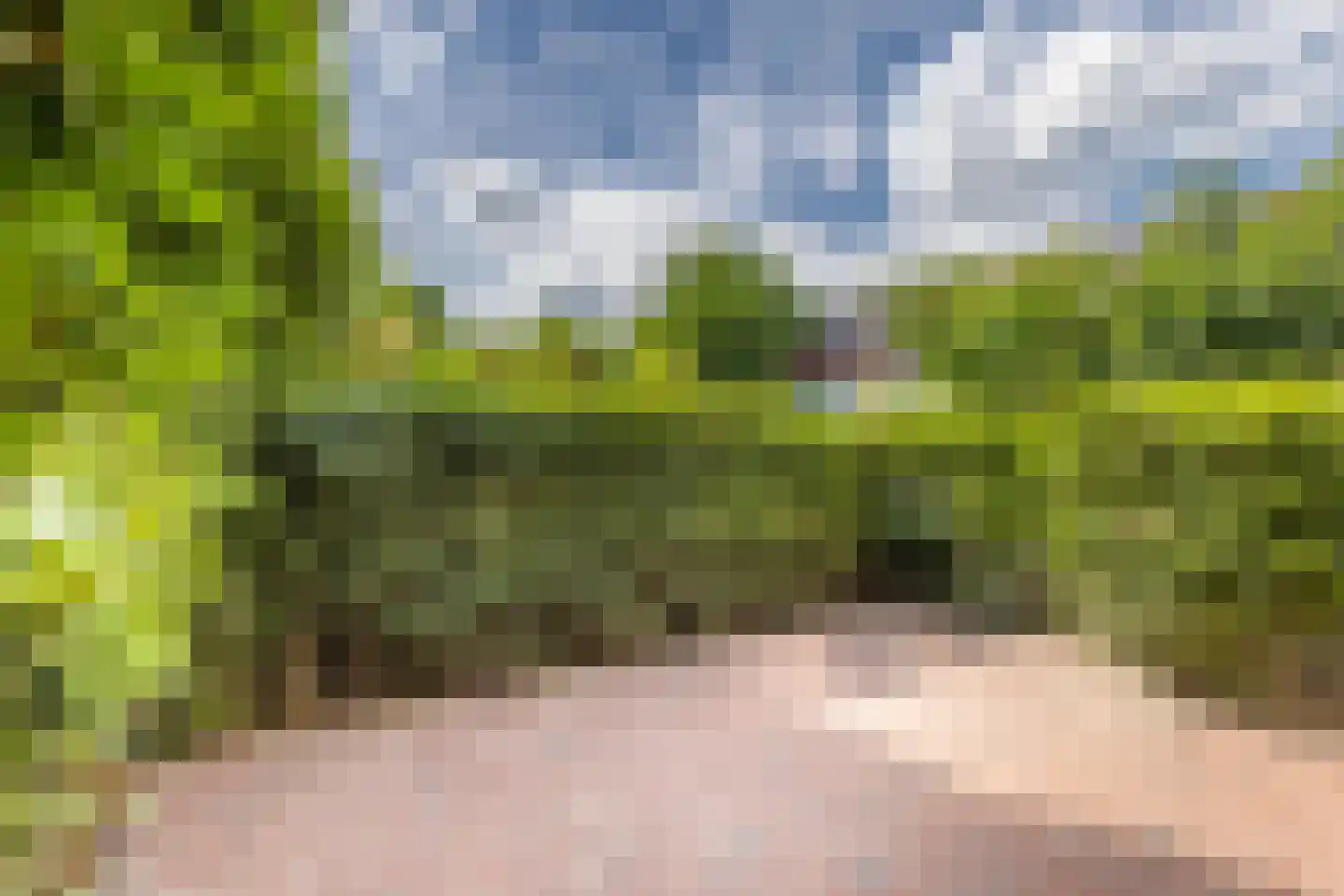 Jungfrau 40 Utrecht thumbnail 36