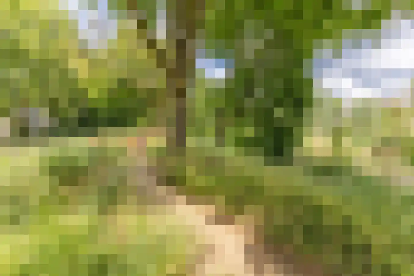 Jungfrau 40 Utrecht thumbnail 40