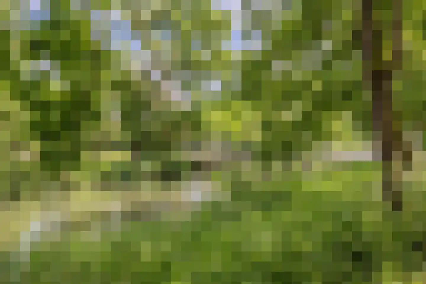 Jungfrau 40 Utrecht thumbnail 41