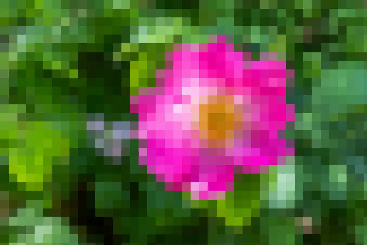 Jungfrau 40 Utrecht thumbnail 42