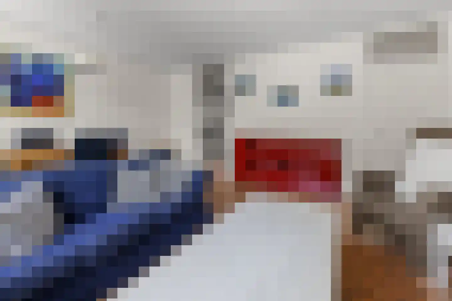 Jungfrau 40 Utrecht thumbnail 9