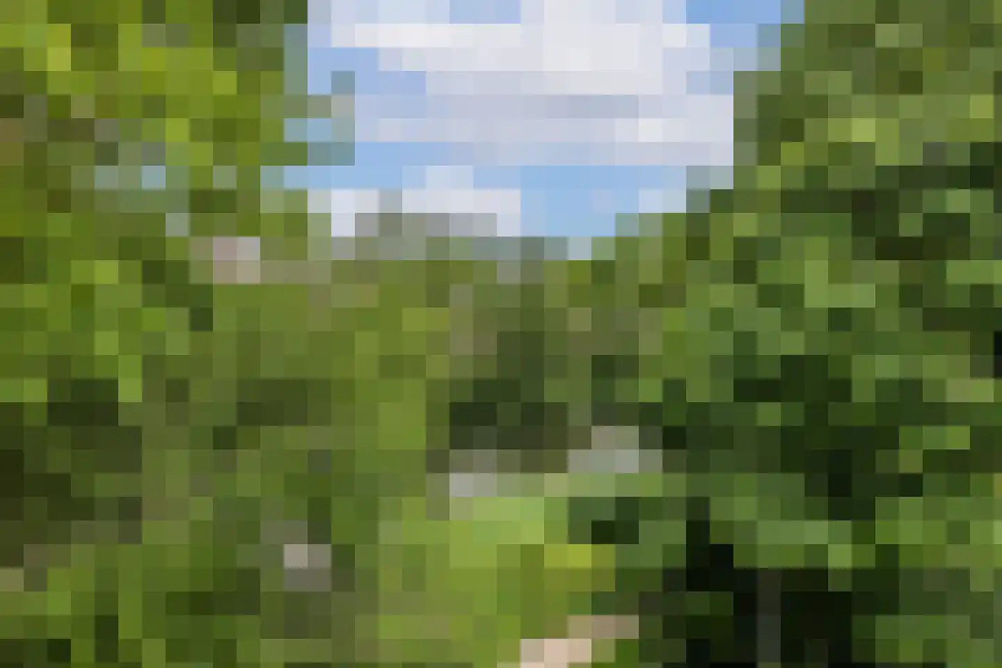 Jungfrau 72 Utrecht thumbnail 10