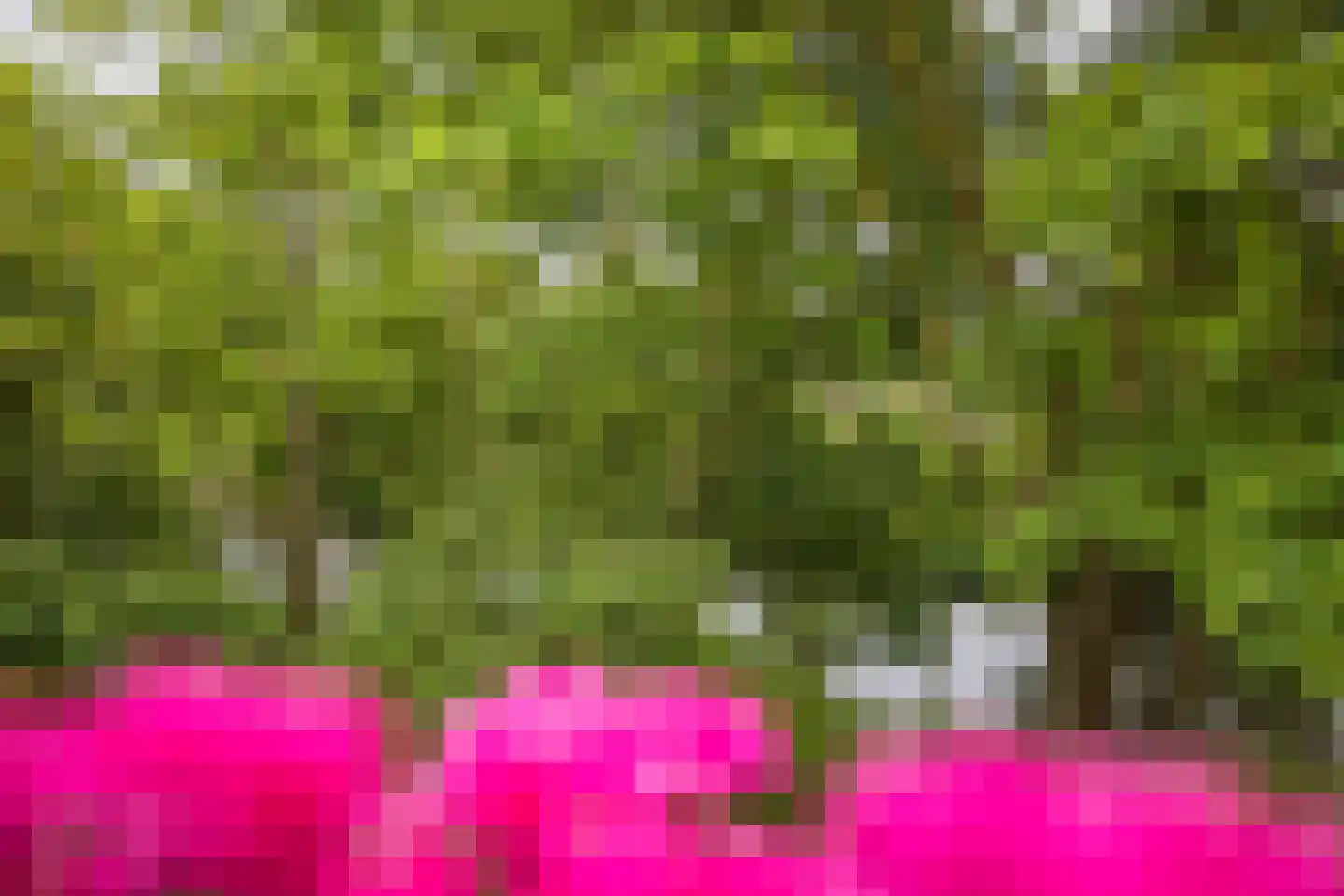 Jungfrau 72 Utrecht thumbnail 13