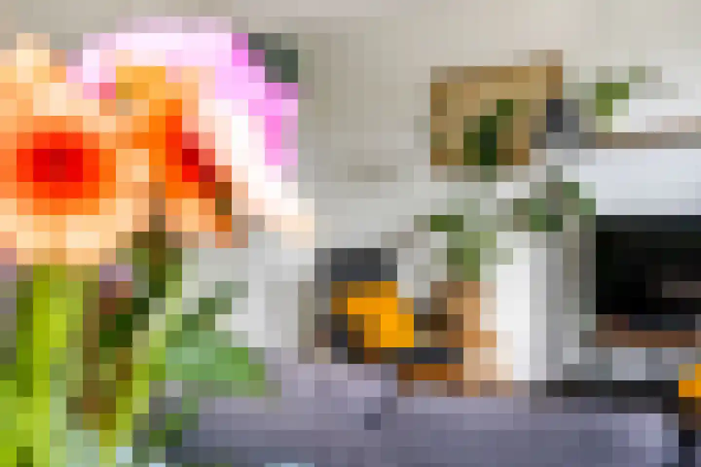 Jungfrau 72 Utrecht thumbnail 15