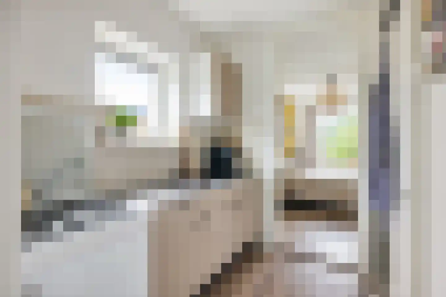 Jungfrau 72 Utrecht thumbnail 18