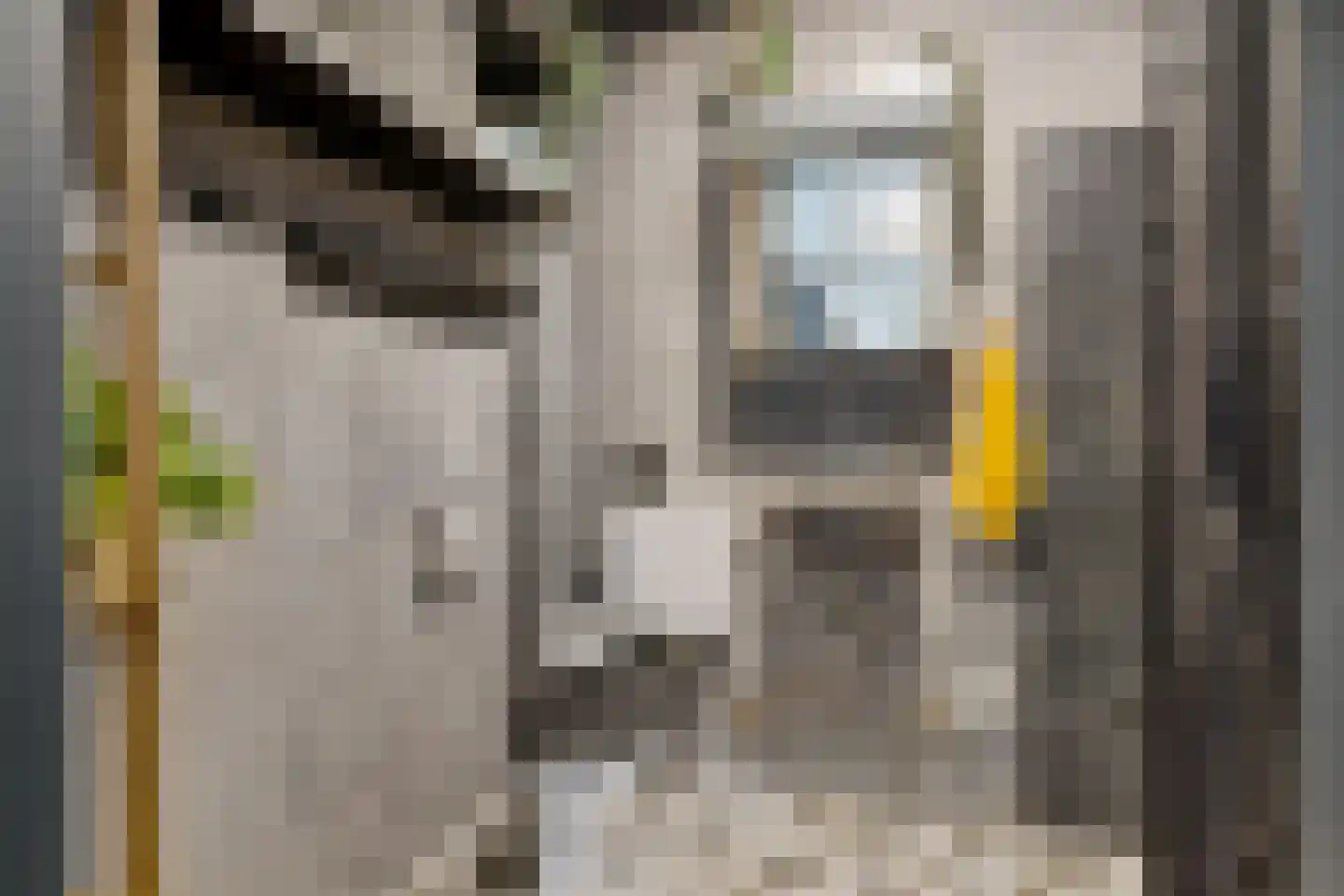Jungfrau 72 Utrecht thumbnail 28
