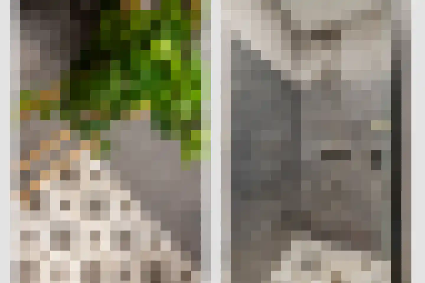 Jungfrau 72 Utrecht thumbnail 29