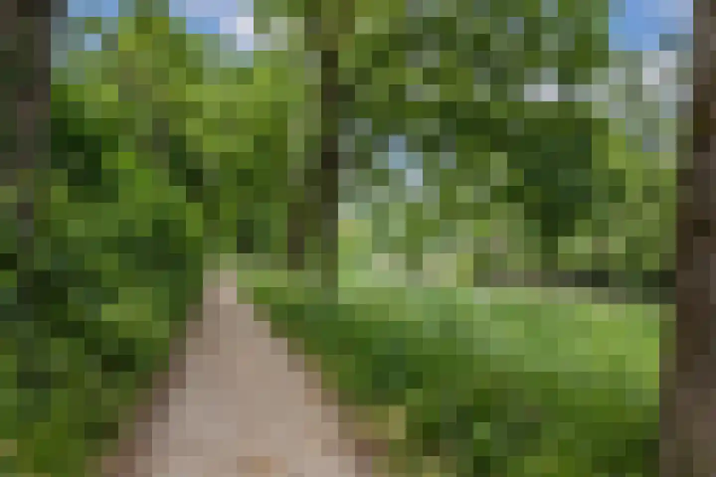 Jungfrau 72 Utrecht thumbnail 34