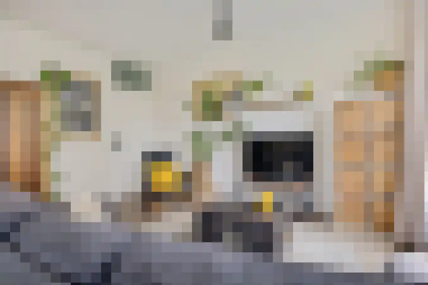 Jungfrau 72 Utrecht thumbnail 7
