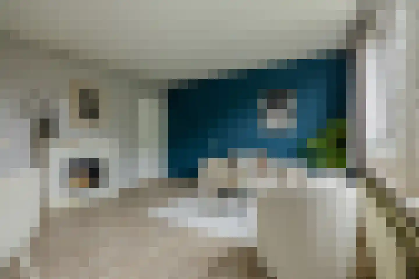 Jungfrau 73 Utrecht thumbnail 10