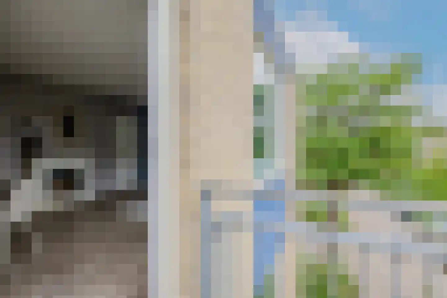Jungfrau 73 Utrecht thumbnail 14