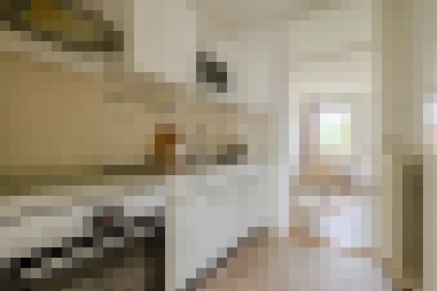 Jungfrau 73 Utrecht thumbnail 19
