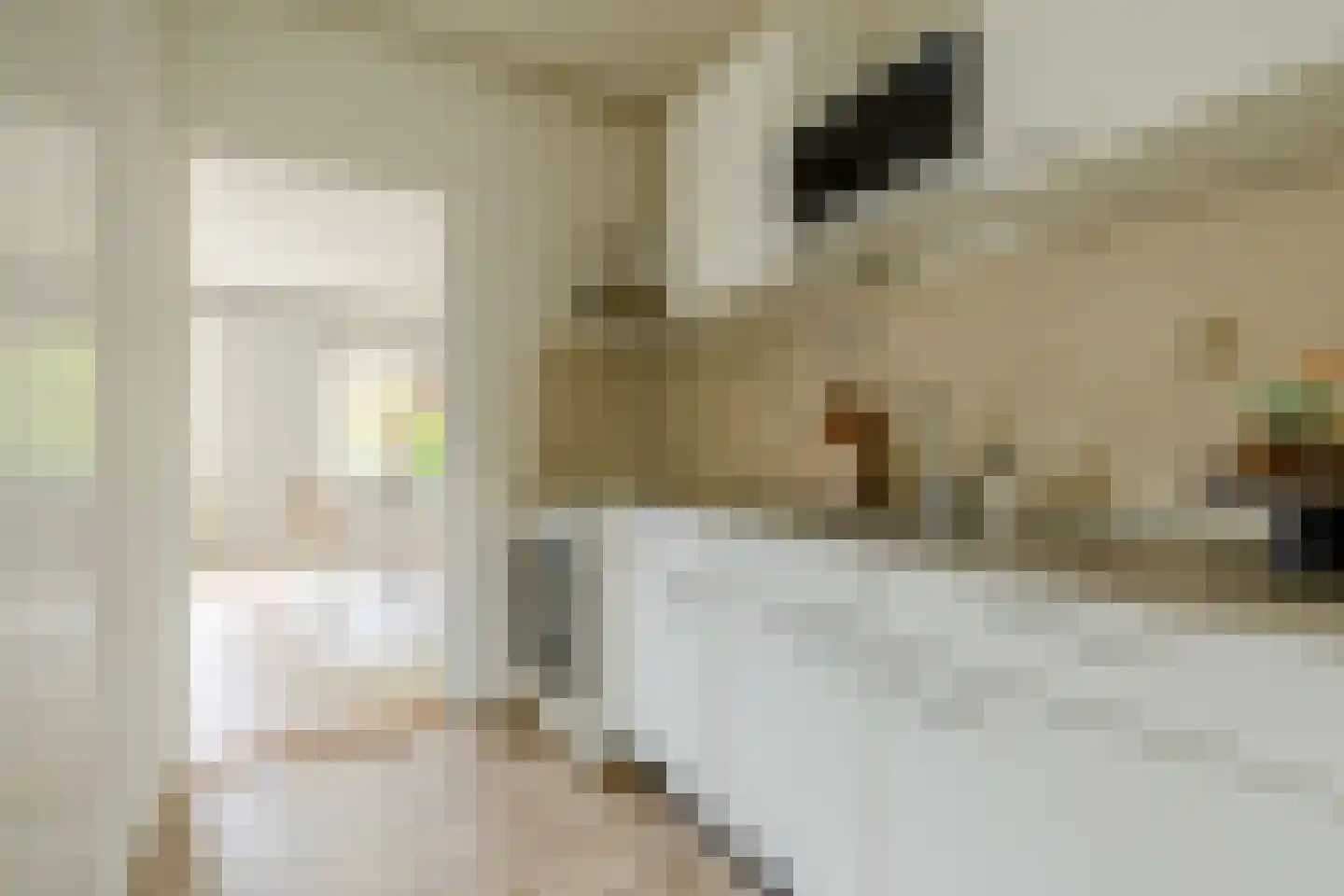 Jungfrau 73 Utrecht thumbnail 20