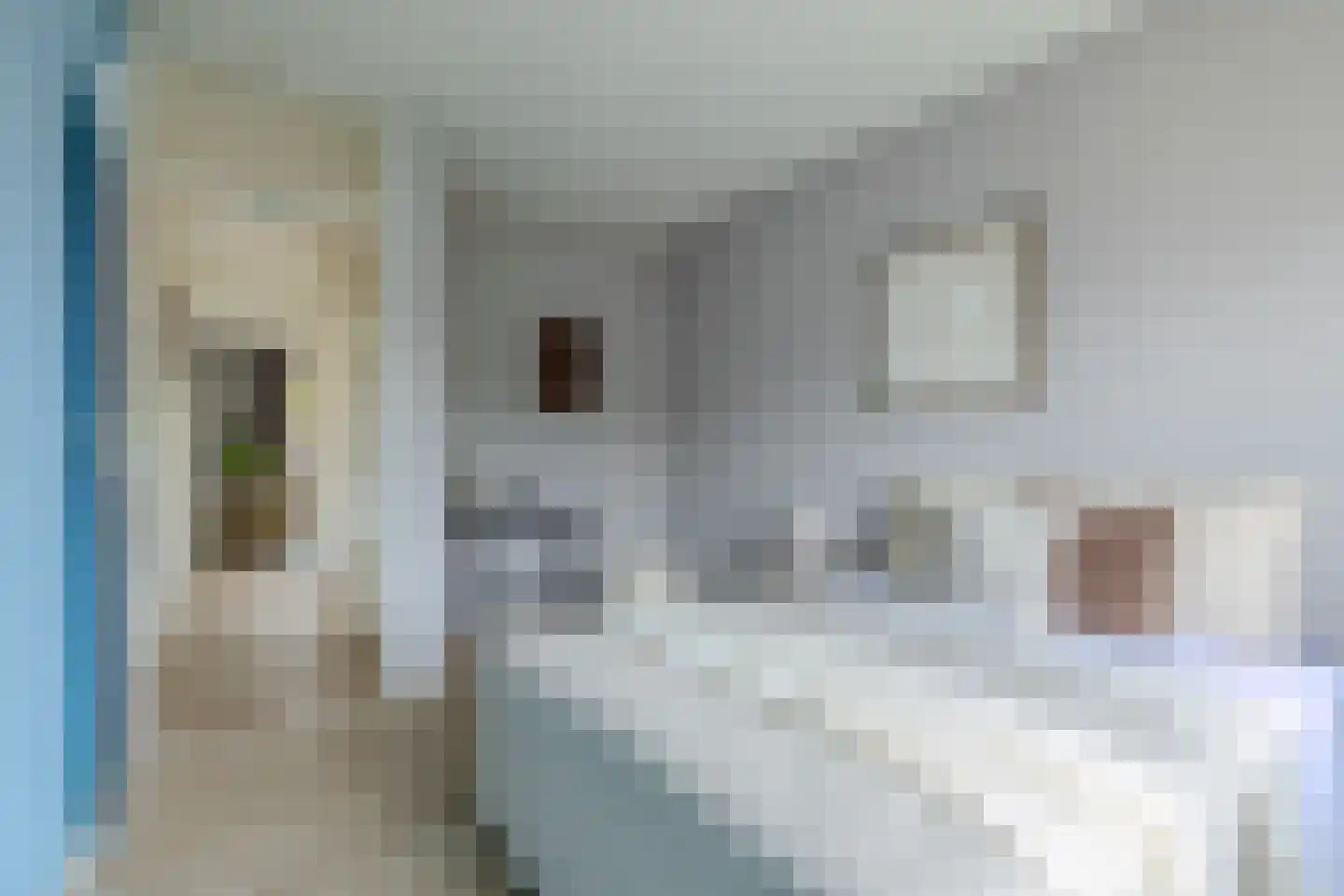 Jungfrau 73 Utrecht thumbnail 24