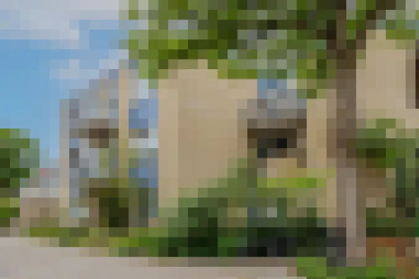 Jungfrau 73 Utrecht thumbnail 31