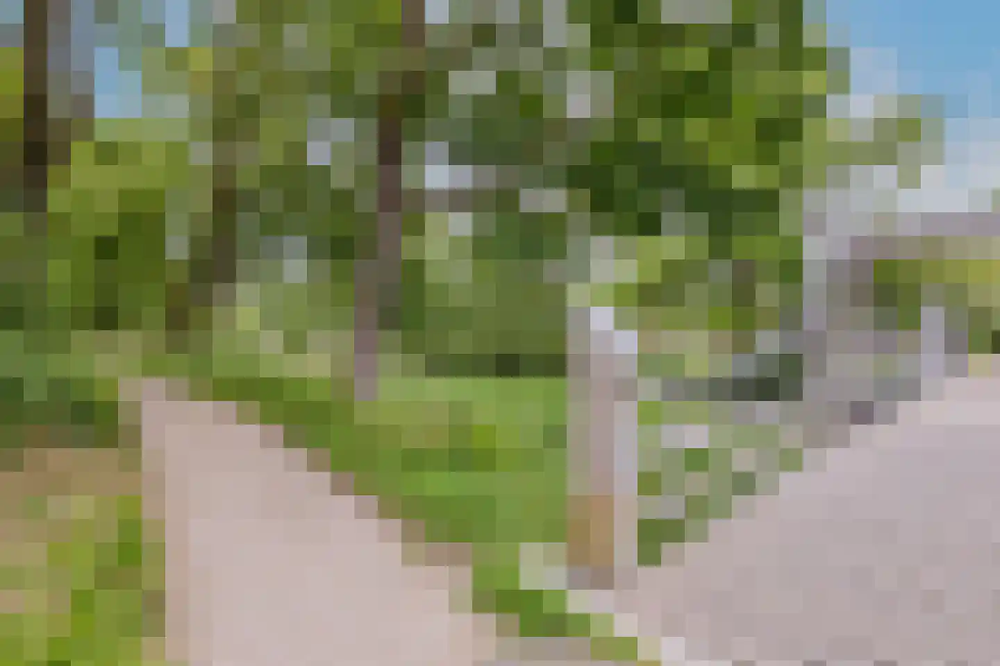 Jungfrau 73 Utrecht thumbnail 35
