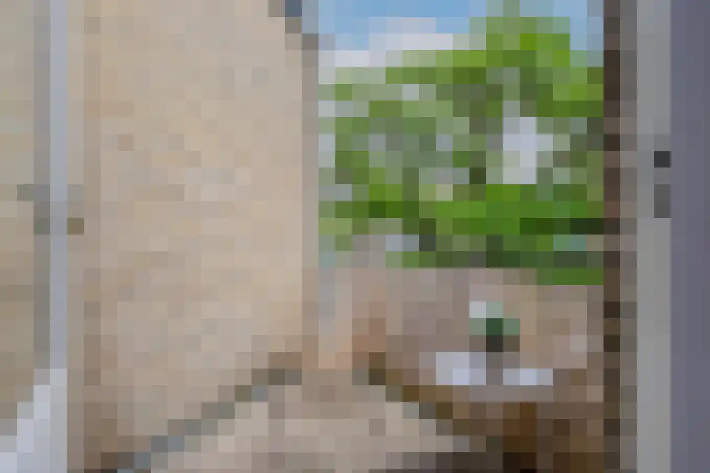 Jungfrau 73 Utrecht thumbnail 4