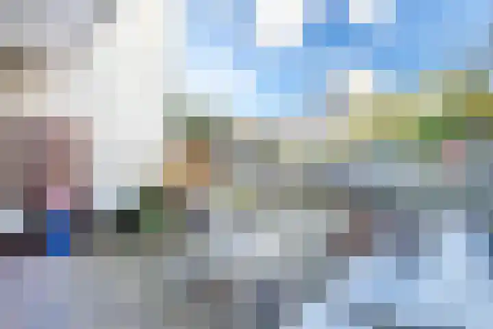Jungfrau 83 Utrecht thumbnail 16