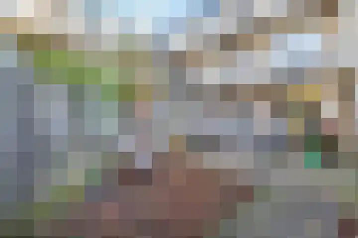 Jungfrau 83 Utrecht thumbnail 17