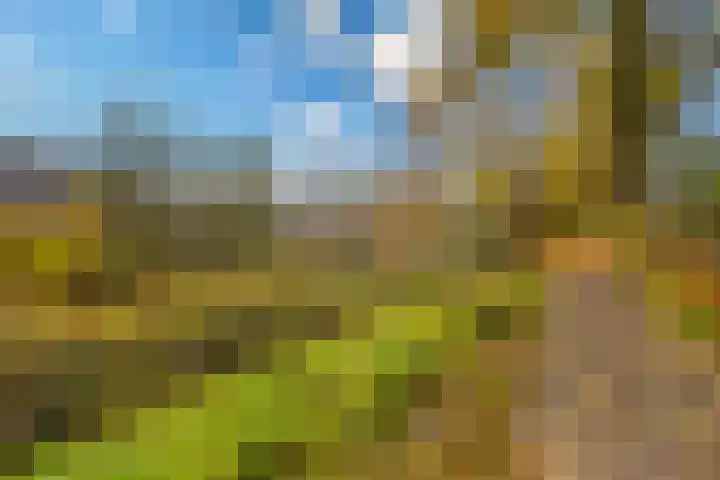 Jungfrau 83 Utrecht thumbnail 24