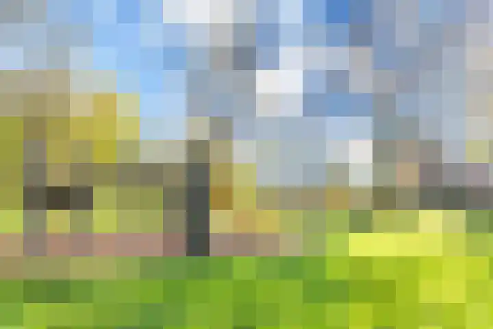 Jungfrau 83 Utrecht thumbnail 25